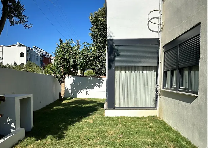 Leos Apart3 * シダ